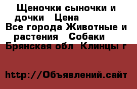 Щеночки-сыночки и дочки › Цена ­ 30 000 - Все города Животные и растения » Собаки   . Брянская обл.,Клинцы г.